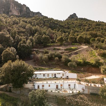 הוילה Casa Jerzu S'Essia De Su Santu מראה חיצוני תמונה